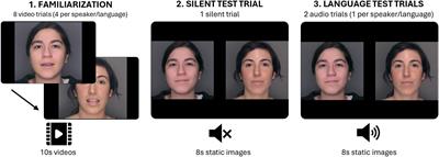 Who spoke that language? Assessing early face-language associations in monolingual and bilingual infants